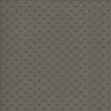 Chiseled Dove by Kasmir Fabric 5119 62% Polyester 38% Cotton INDIA 30,000 Wyzenbeek Double Rubs H: 1 2/8 inches, V: 1 inches 54 - Fabric Carolina - Kasmir