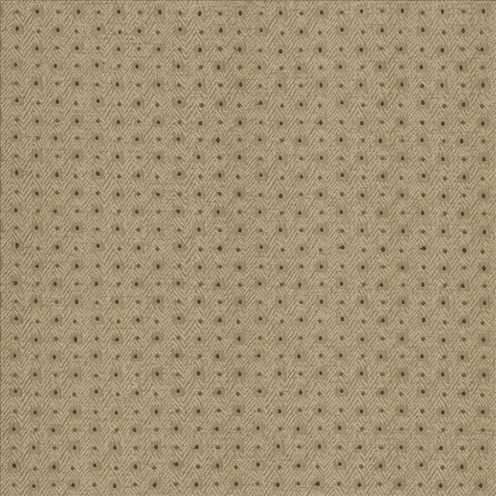 Chiseled Patina by Kasmir Fabric 5119 62% Polyester
38% Cotton
 INDIA </p><p>Repeat: Horizontal: 1 2/8 inches and Vertical: 1 inches 54 - Fabric Carolina -