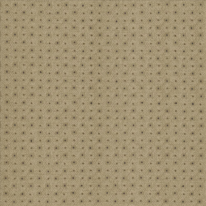 Chiseled Patina by Kasmir Fabric 5119 62% Polyester 38% Cotton INDIA 30,000 Wyzenbeek Double Rubs Horizontal: 1 2/8 inches and Vertical: 1 inches 54 - Fabric Carolina -