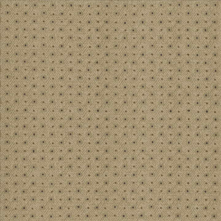 Chiseled Patina by Kasmir Fabric 5119 62% Polyester
38% Cotton
 INDIA </p><p>Repeat: Horizontal: 1 2/8 inches and Vertical: 1 inches 54 - Fabric Carolina -