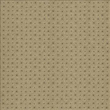 Chiseled Patina by Kasmir Fabric 5119 62% Polyester 38% Cotton INDIA 30,000 Wyzenbeek Double Rubs H: 1 2/8 inches, V: 1 inches 54 - Fabric Carolina - Kasmir