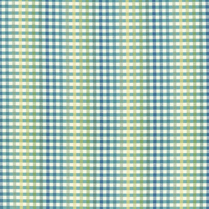 Chloe Check Cabana Blue  by Kasmir Fabric See sample 55% Cotton
45% Polyester
 TAIWAN 25,000 Wyzenbeek Double Rubs </p><p>Repeat: Horizontal: 13 4/8 inches and Vertical: 1 inches 54  - Fabric Carolina -