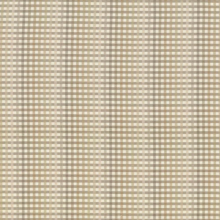Chloe Check Smokey Quartz by Kasmir Fabric 5066 55% Cotton 45% Polyester TAIWAN 25,000 Wyzenbeek Double Rubs H: 13 4/8 inches, V:1 inches 54 - Fabric Carolina - Kasmir