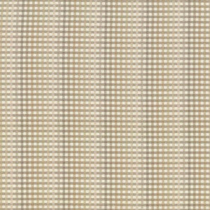 Chloe Check Smokey Quartz by Kasmir Fabric
