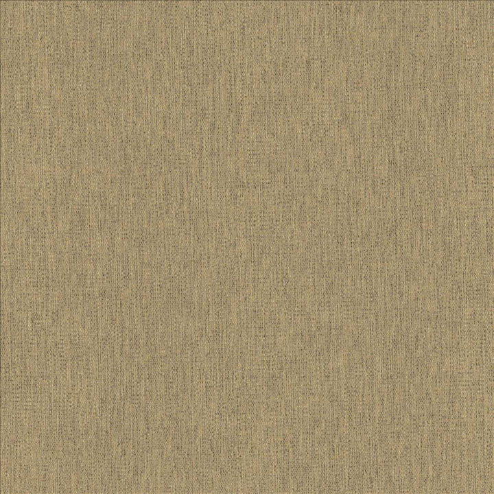 Chosen Hemp by Kasmir Fabric 5171 100% Polyester
 CHINA 50,000 Wyzenbeek Double Rubs </p><p>Repeat: Horizontal: N/A and Vertical: N/A 54 - Fabric Carolina -