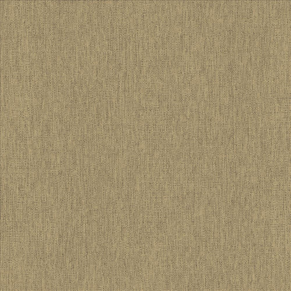 Chosen Hemp by Kasmir Fabric 5171 100% Polyester
 CHINA 50,000 Wyzenbeek Double Rubs Horizontal: N/A and Vertical: N/A 54 - Fabric Carolina -