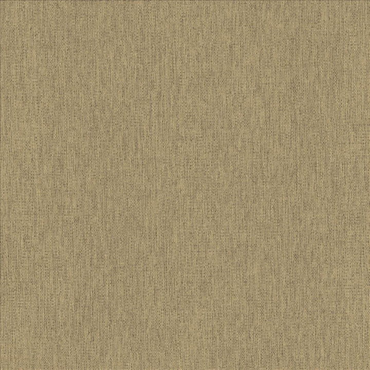 Chosen Hemp  by Kasmir Fabric See sample 100% Polyester
 CHINA 50,000 Wyzenbeek Double Rubs </p><p>Repeat: Horizontal: N/A and Vertical: N/A 54  - Fabric Carolina -