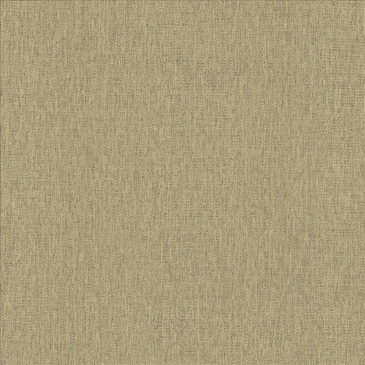 Chosen Stone  by Kasmir Fabric See sample 100% Polyester
 CHINA 50,000 Wyzenbeek Double Rubs </p><p>Repeat: Horizontal: N/A and Vertical: N/A 54  - Fabric Carolina -