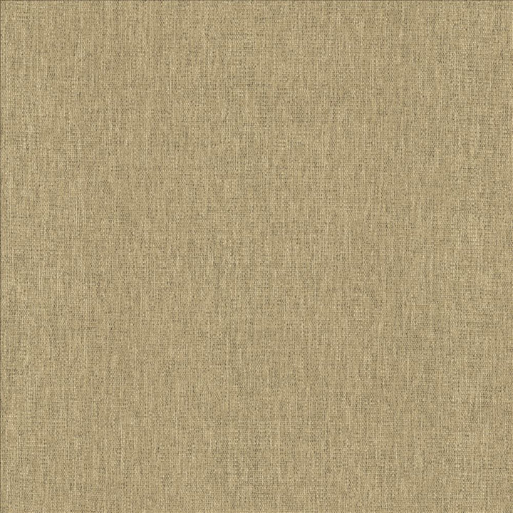 Chosen Stone by Kasmir Fabric 5171 100% Polyester
 CHINA </p><p>Repeat: Horizontal: N/A and Vertical: N/A 54 - Fabric Carolina -