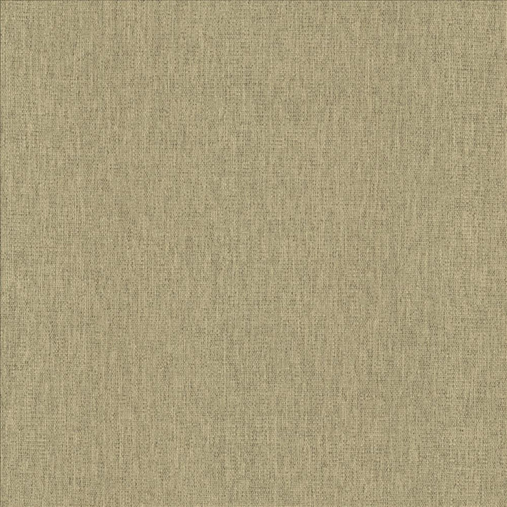 Chosen Stone by Kasmir Fabric 5171 100% Polyester
 CHINA 50,000 Wyzenbeek Double Rubs </p><p>Repeat: Horizontal: N/A and Vertical: N/A 54 - Fabric Carolina -