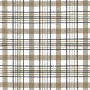 Cicero Plaid Granite by Kasmir Fabric