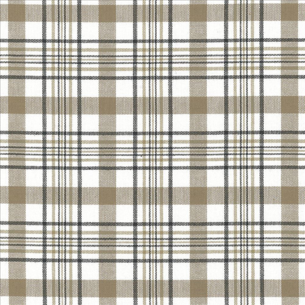 Cicero Plaid Granite by Kasmir Fabric 5066 100% Cotton
 INDIA 30,000 Wyzenbeek Double Rubs Horizontal: 3 inches and Vertical: 3 inches 54 - Fabric Carolina -
