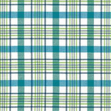 Cicero Plaid Isle Waters by Kasmir Fabric 5072 100% Cotton INDIA 30,000 Wyzenbeek Double Rubs H: 3 inches, V: 3 inches 54 - Fabric Carolina - Kasmir