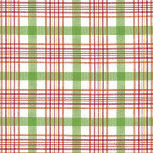 Cicero Plaid Summer by Kasmir Fabric