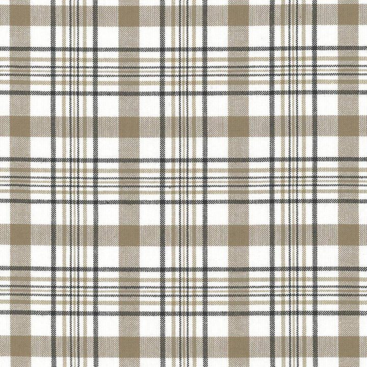 Cicero Plaid Granite by Kasmir Fabric 5066 100% Cotton
 INDIA </p><p>Repeat: Horizontal: 3 inches and Vertical: 3 inches 54 - Fabric Carolina -