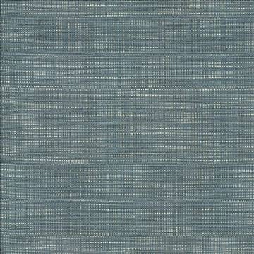 Ciro Blue Jay by Kasmir Fabric 5098 56% Rayon 44% Polyester CHINA 51,000 Wyzenbeek Double Rubs H: N/A, V: N/A 55 - Fabric Carolina - Kasmir