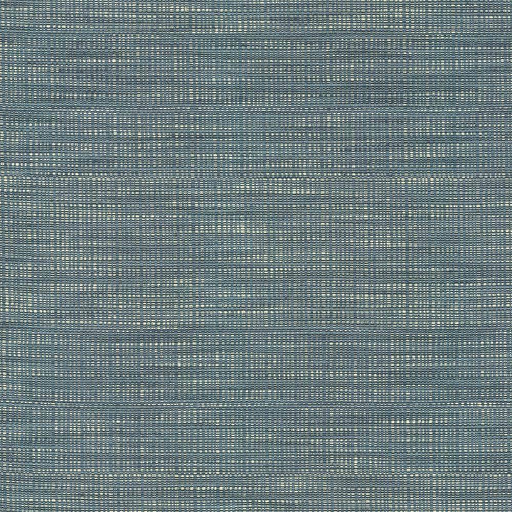 Ciro Blue Jay by Kasmir Fabric 5098 56% Rayon 44% Polyester CHINA 51,000 Wyzenbeek Double Rubs H: N/A, V:N/A 55 - Fabric Carolina - Kasmir