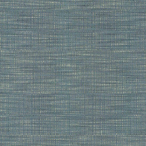 Ciro Blue Jay by Kasmir Fabric