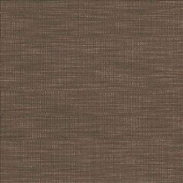 Ciro Darjeeling by Kasmir Fabric 5101 56% Rayon 44% Polyester CHINA 51,000 Wyzenbeek Double Rubs H: N/A, V: N/A 55 - Fabric Carolina - Kasmir
