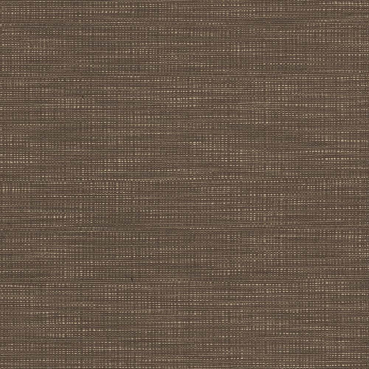 Ciro Darjeeling by Kasmir Fabric 5101 56% Rayon
44% Polyester
 CHINA </p><p>Repeat: Horizontal: N/A and Vertical: N/A 55 - Fabric Carolina -