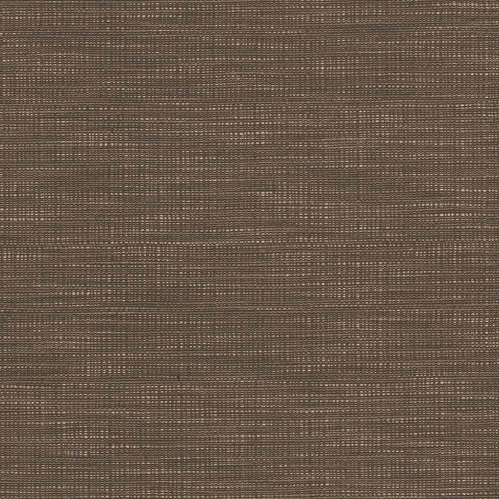 Ciro Darjeeling by Kasmir Fabric 5101 56% Rayon 44% Polyester CHINA 51,000 Wyzenbeek Double Rubs H: N/A, V:N/A 55 - Fabric Carolina - Kasmir