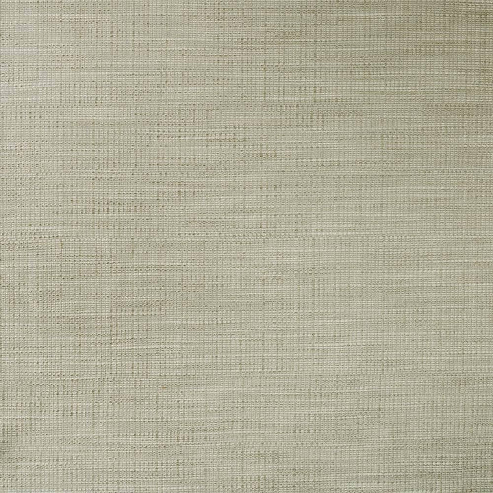Ciro Elephant by Kasmir Fabric 5100 56% Rayon 44% Polyester CHINA 51,000 Wyzenbeek Double Rubs H: N/A, V:N/A 55 - Fabric Carolina - Kasmir
