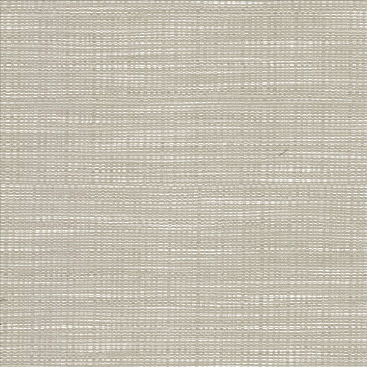 Ciro Elephant by Kasmir Fabric 5100 56% Rayon 44% Polyester CHINA 51,000 Wyzenbeek Double Rubs Horizontal: 0 Inches and Vertical: 0 Inches 55 - Fabric Carolina -