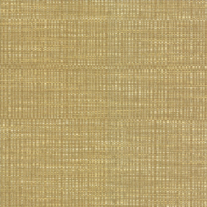 Ciro Honeysuckle by Kasmir Fabric 5093 56% Rayon
44% Polyester
 CHINA 51,000 Wyzenbeek Double Rubs </p><p>Repeat: Horizontal: N/A and Vertical: N/A 55 - Fabric Carolina -