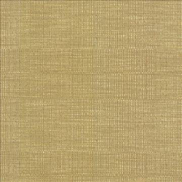 Ciro Honeysuckle by Kasmir Fabric 5093 56% Rayon 44% Polyester CHINA 51,000 Wyzenbeek Double Rubs H: N/A, V: N/A 55 - Fabric Carolina - Kasmir