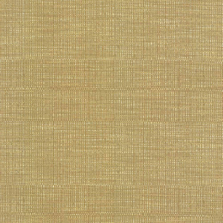 Ciro Honeysuckle by Kasmir Fabric 5093 56% Rayon 44% Polyester CHINA 51,000 Wyzenbeek Double Rubs H: N/A, V:N/A 55 - Fabric Carolina - Kasmir