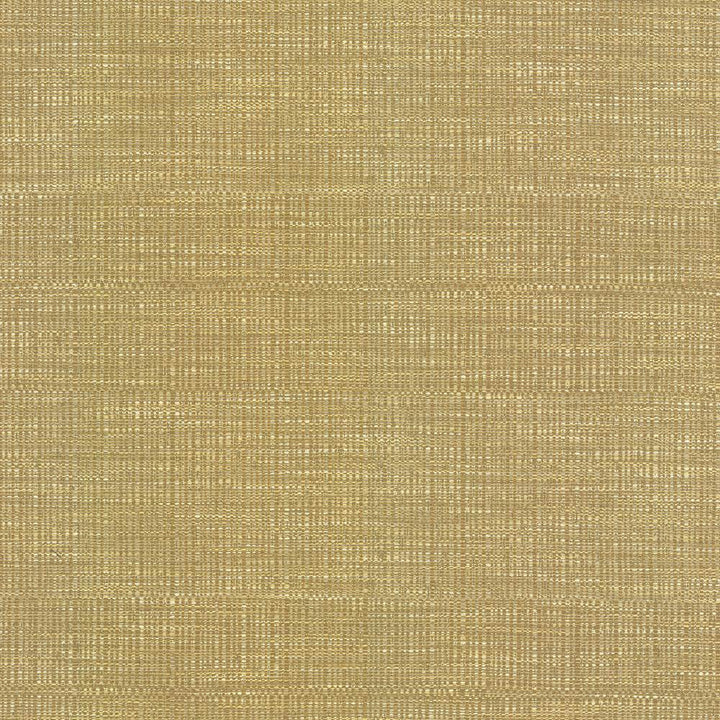 Ciro Honeysuckle by Kasmir Fabric 5093 56% Rayon
44% Polyester
 CHINA </p><p>Repeat: Horizontal: N/A and Vertical: N/A 55 - Fabric Carolina -