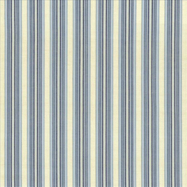 Citylines Denim by Kasmir Fabric 5125 100% Cotton
 INDIA 18,000 Martindale Cycles </p><p>Repeat: Horizontal: 1 5/8 inches and Vertical: N/A 55 - Fabric Carolina -