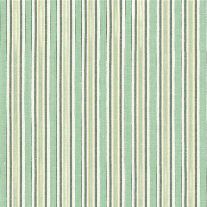 Citylines Jade by Kasmir Fabric 5124 100% Cotton
 INDIA </p><p>Repeat: Horizontal: 1 5/8 inches and Vertical: N/A 55 - Fabric Carolina -