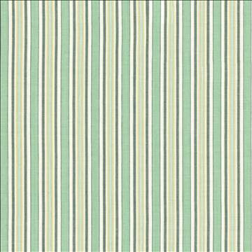 Citylines Jade by Kasmir Fabric 5124 100% Cotton INDIA 18,000 Martindale Cycles H: 1 5/8 inches, V: N/A 55 - Fabric Carolina - Kasmir