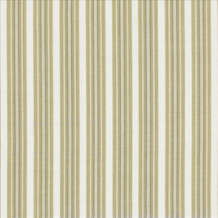 Citylines Sand by Kasmir Fabric 5122 100% Cotton INDIA 18,000 Martindale Cycles Horizontal: 1 5/8 inches and Vertical: 0 Inches 55 - Fabric Carolina -