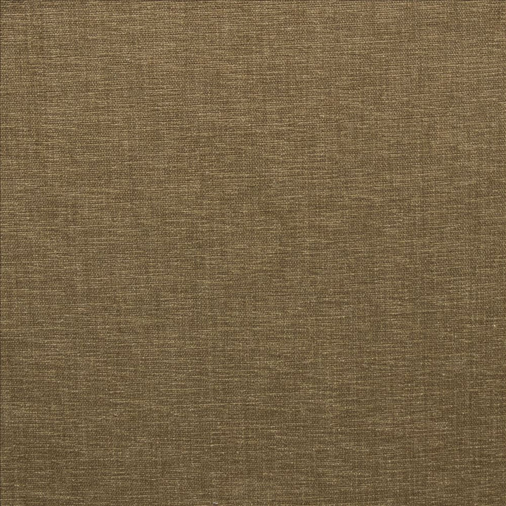Cityview Almond  by Kasmir Fabric 5186 100% Other Fiber  INDIA  </p><p>Repeat: Horizontal: N/A and Vertical:  0 inches 54  - Fabric Carolina -