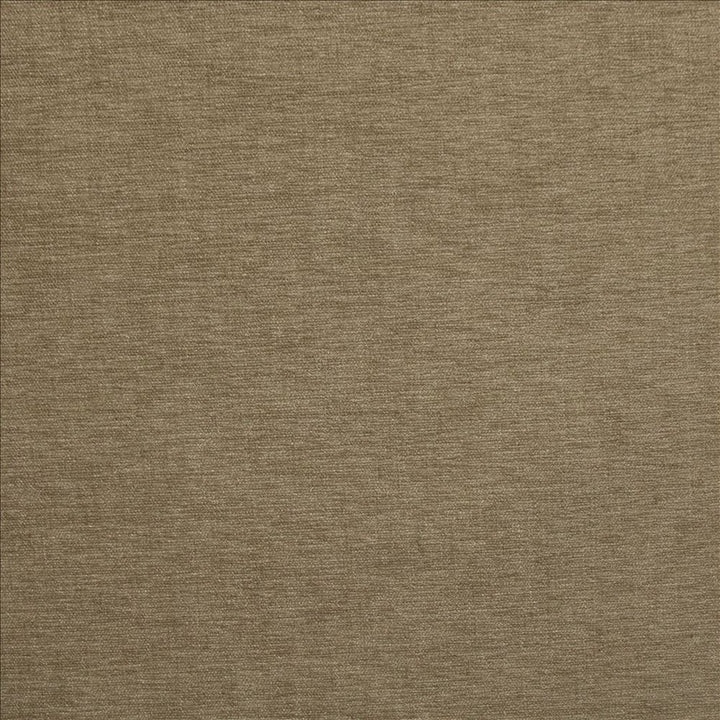 Cityview Beige  by Kasmir Fabric 5186 100% Other Fiber  INDIA  </p><p>Repeat: Horizontal: N/A and Vertical:  0 inches 54  - Fabric Carolina -