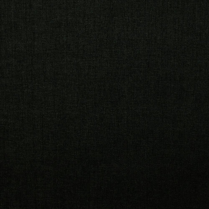 Cityview Black  by Kasmir Fabric 5186 100% Other Fiber  INDIA  </p><p>Repeat: Horizontal: N/A and Vertical:  0 inches 54  - Fabric Carolina -