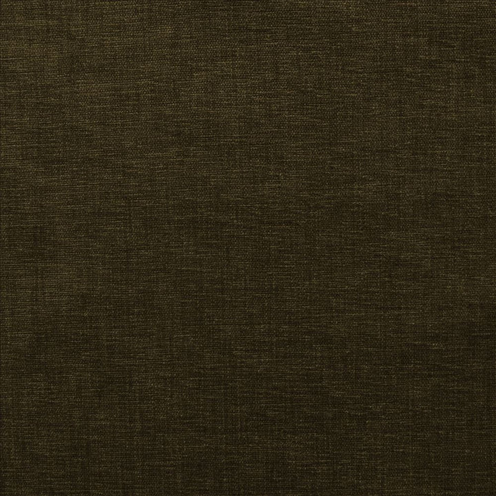 Cityview Chocolate  by Kasmir Fabric 5186 100% Other Fiber  INDIA  </p><p>Repeat: Horizontal: N/A and Vertical:  0 inches 54  - Fabric Carolina -