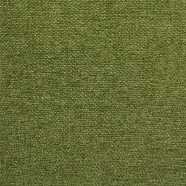 Cityview Kale  by Kasmir Fabric 5186 100% Other Fiber  INDIA  </p><p>Repeat: Horizontal: N/A and Vertical:  0 inches 54  - Fabric Carolina -