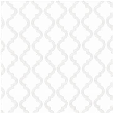Clip Joint Cloud by Kasmir Fabric 1433 52% Polyester 48% Cotton Embroidery Contents 100% Viscose INDIA 12,000 Wyzenbeek Double Rubs H: 6 4/8 inches, V: 6 inches 51 - Fabric Carolina - Kasmir