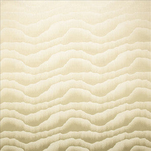 Cloudy Day Parchment by Kasmir Fabric