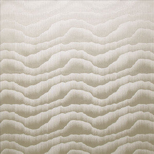 Cloudy Day Smoke by Kasmir Fabric