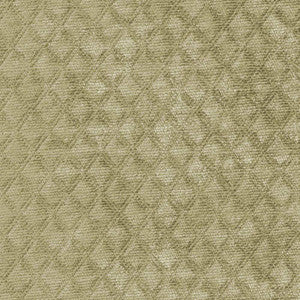 Coco Fern by Kasmir Fabric