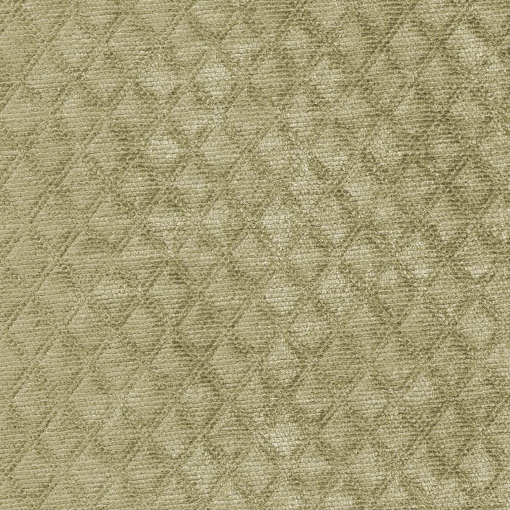 Coco Fern by Kasmir Fabric 1385 100% Polyester
 CHINA </p><p>Repeat: Horizontal: N/A and Vertical: N/A 55 - Fabric Carolina -