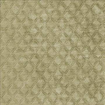 Coco Fern by Kasmir Fabric 1385 100% Polyester CHINA 48,000 Wyzenbeek Double Rubs H: N/A, V: N/A 55 - Fabric Carolina - Kasmir