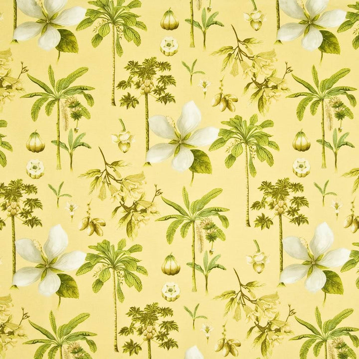 Coconut Grove Cornsilk by Kasmir Fabric 1389 100% Cotton PERU 12,000 Wyzenbeek Double Rubs Horizontal: 13 4/8 inches and Vertical: 25 2/8 inches 54 - Fabric Carolina -