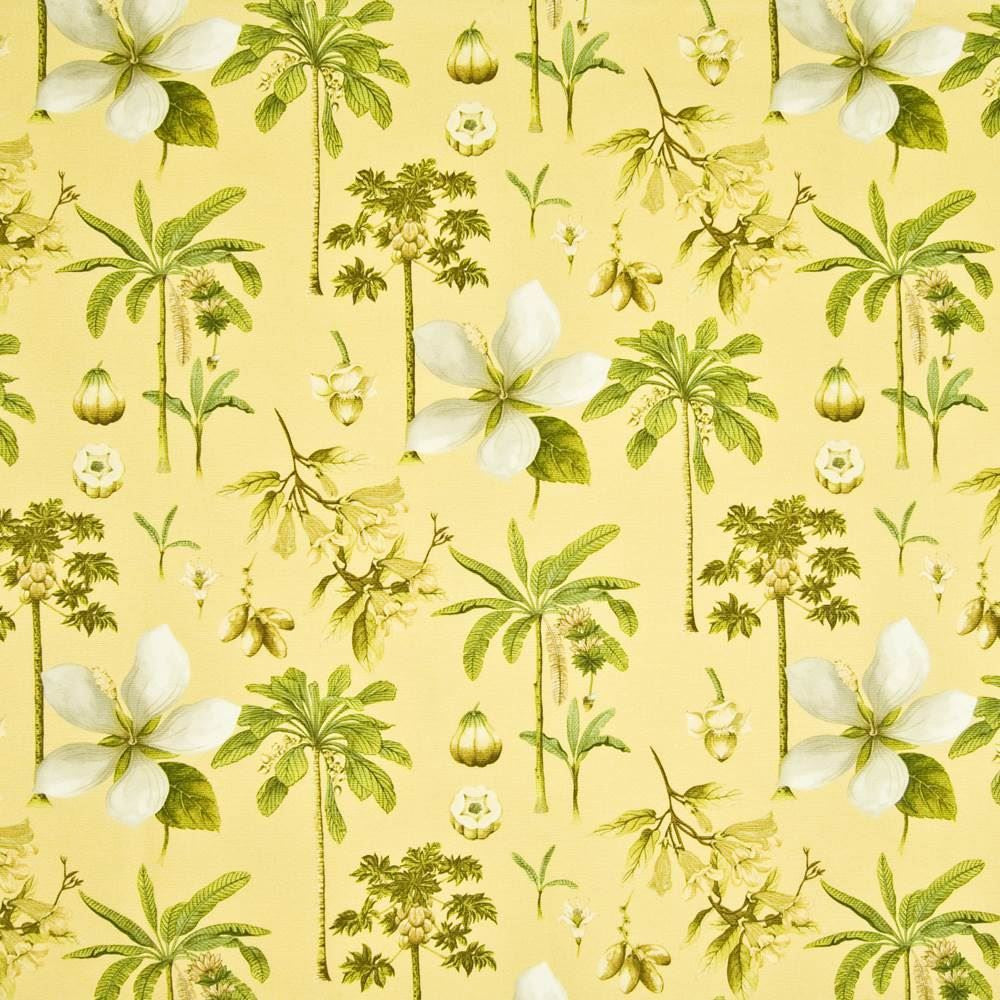 Coconut Grove Cornsilk by Kasmir Fabric 1389 100% Cotton
 PERU 12,000 Wyzenbeek Double Rubs </p><p>Repeat: Horizontal: 13 4/8 inches and Vertical: 25 2/8 inches 54 - Fabric Carolina -
