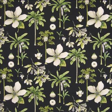 Coconut Grove Ebony by Kasmir Fabric 1390 100% Cotton PERU 12,000 Wyzenbeek Double Rubs H: 13 4/8 inches, V: 25 2/8 inches 54 - Fabric Carolina - Kasmir