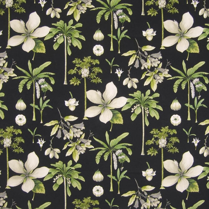 Coconut Grove Ebony  by Kasmir Fabric See sample 100% Cotton
 PERU 12,000 Wyzenbeek Double Rubs </p><p>Repeat: Horizontal: 13 4/8 inches and Vertical: 25 2/8 inches 54  - Fabric Carolina -